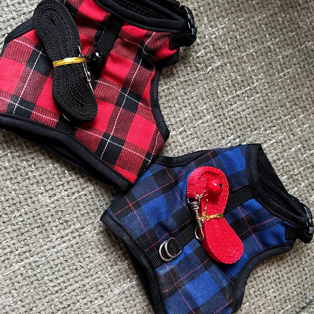 Guinea pig/bunny 🐹 harness and leash Never Used